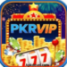 PKRVIP Game