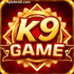 K9 Game