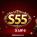 S55 game