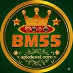 BM55 Game